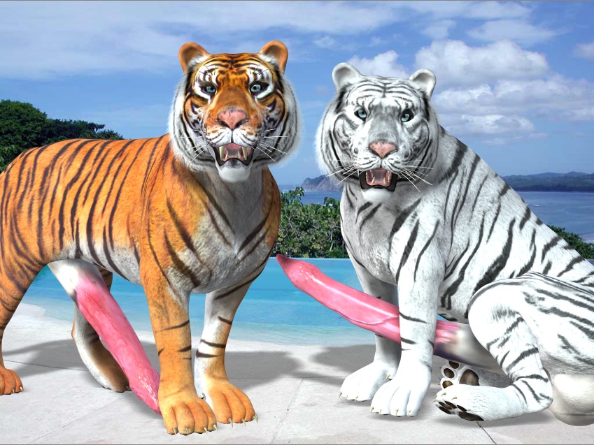 3d_(artwork) all_fours animal_genitalia balls beach big_balls big_penis cloud detailed_background digital_media_(artwork) duo e621 erection felid feral fur genitals hyper letterbox leucistic looking_at_viewer male mammal orange_body orange_fur outside pantherine penis presenting realistic_feral sand seaside sky tapiko tiger white_body white_fur