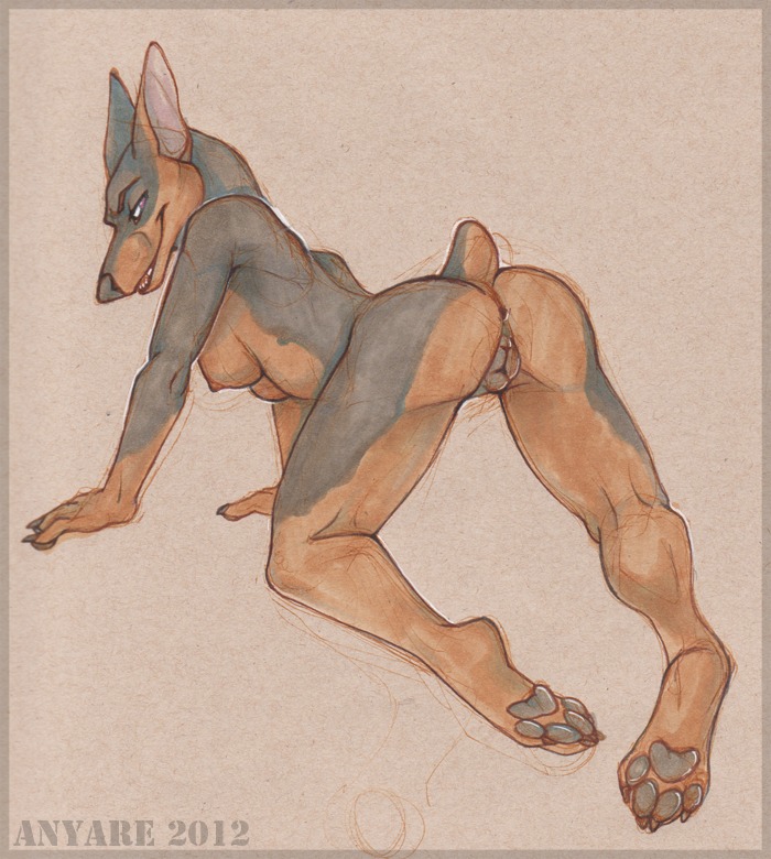 4_toes all_fours anatomically_correct anatomically_correct_genitalia anatomically_correct_vulva animal_genitalia animal_vulva anthro anus anyare breasts butt canid canine canine_genitalia canine_vulva canis dobermann domestic_dog e621 feet female genitals hindpaw inviting jenette_neils looking_at_viewer mammal nipples nude paws pinscher pointy_ears presenting presenting_hindquarters prick_ears seductive simple_background soles solo toes vulva