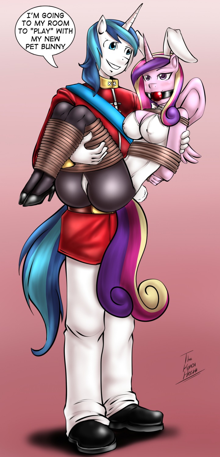 2014 absurd_res anthro anthrofied ball_gag bdsm blue_eyes blue_hair bondage bound breasts bunny_costume cleavage clothed clothing costume dakuroihoshi dialogue duo e621 english_text equid equine fake_ears fake_rabbit_ears feathered_wings feathers female footwear friendship_is_magic gag gagged hair hasbro hi_res high_heels horn husband_and_wife legwear male mammal married_couple multicolored_hair my_little_pony mythological_creature mythological_equine mythology princess_cadance_(mlp) purple_eyes rope shining_armor_(mlp) shoes standing stockings text unicorn uniform winged_unicorn wings