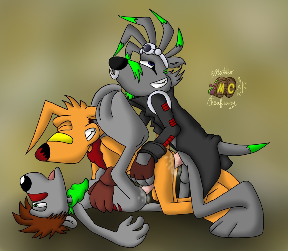 buggery color fur furry krome_studios male male_only mammal marsupial multiple_males mutteo_cleafurry no_humans rule34 thylacine ty_the_tasmanian_tiger ty_the_tasmanian_tiger_(series) yaoi