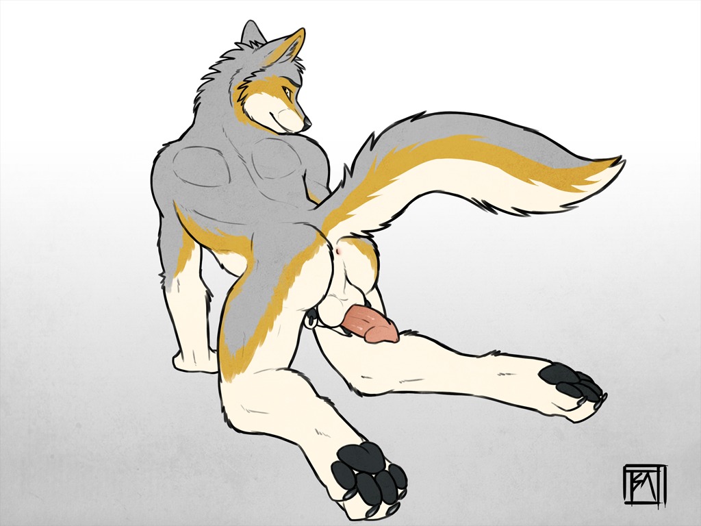 2013 4:3 4_toes anthro anus backsack balls big_muscles butt canid canine canis e621 erection feet fur genitals granite_the_wolf looking_at_viewer looking_back looking_back_at_viewer male mammal muscular muscular_anthro muscular_male nude paws penis presenting raised_tail smile solo tail tail_anus toes tsaiwolf wolf