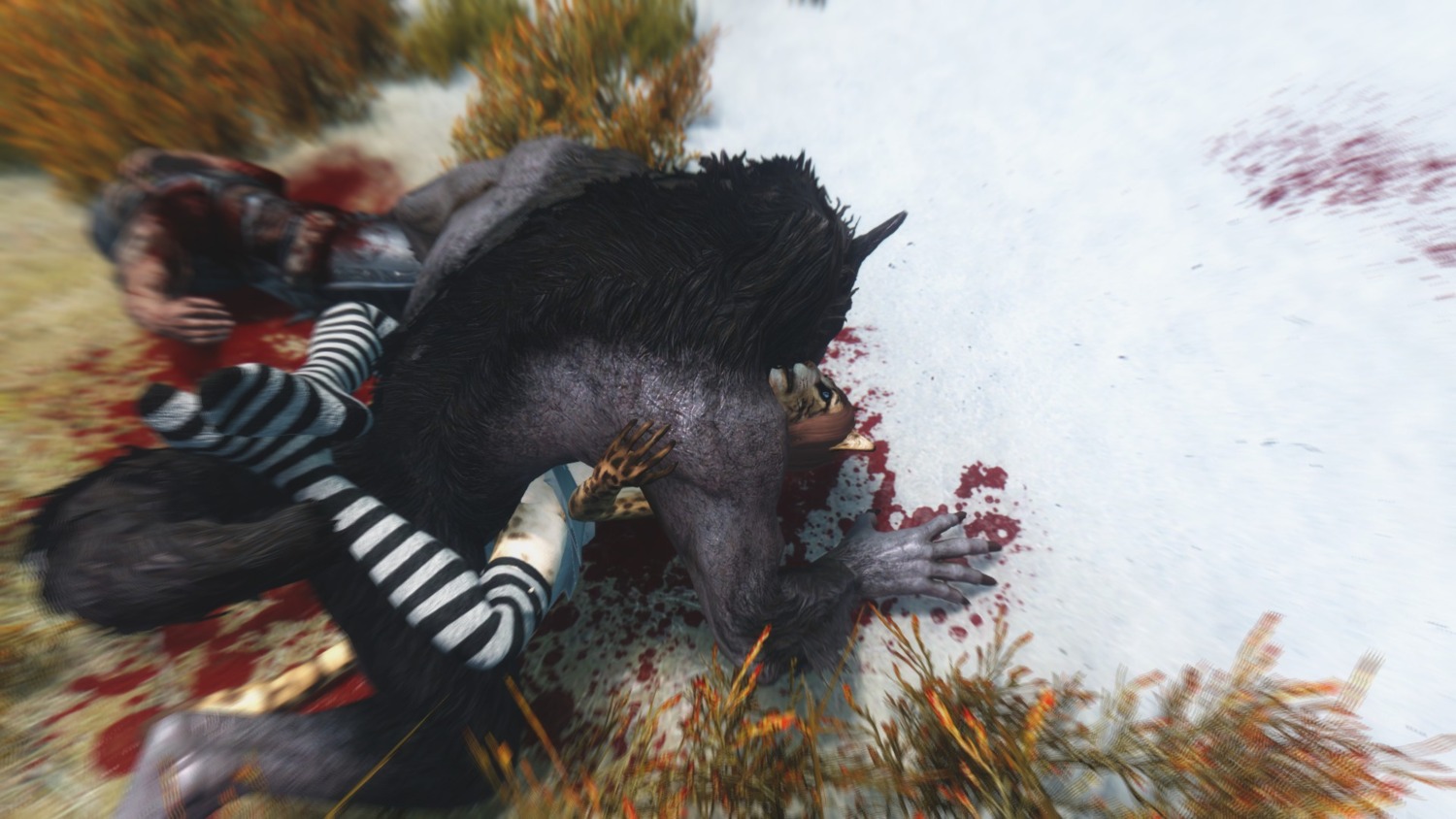 16:9 3d_(artwork) anthro bethesda_game_studios blood bodily_fluids canid canine clothing death digital_media_(artwork) discombobulation duo_focus e621 felid female footwear forced from_front_position group hi_res interspecies khajiit legwear lying male male/female mammal microsoft missionary_position mythological_canine mythological_creature mythology nude on_back outside penetration rape screencap sex skyrim skyrim_werewolf socks spread_legs spreading the_elder_scrolls werecanid werecanine werecreature werewolf widescreen