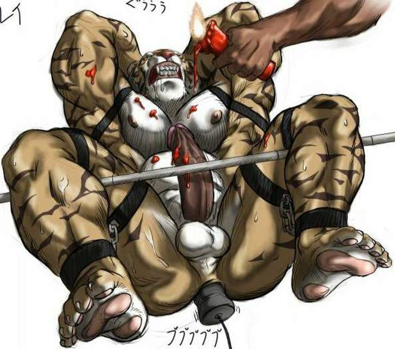 5_toes anal anal_penetration anthro anus balls bdsm biped bomb_(artist) bondage bound candle compression_artifacts e621 erection eyes_closed feet felid genitals hi_res humanoid_genitalia humanoid_penis lying male mammal muscular muscular_anthro muscular_male nude object_in_ass on_back pantherine penetration penis sex_toy sex_toy_in_ass sex_toy_insertion solo stripes submissive submissive_male tiger toes vibrator vibrator_in_ass wax_play