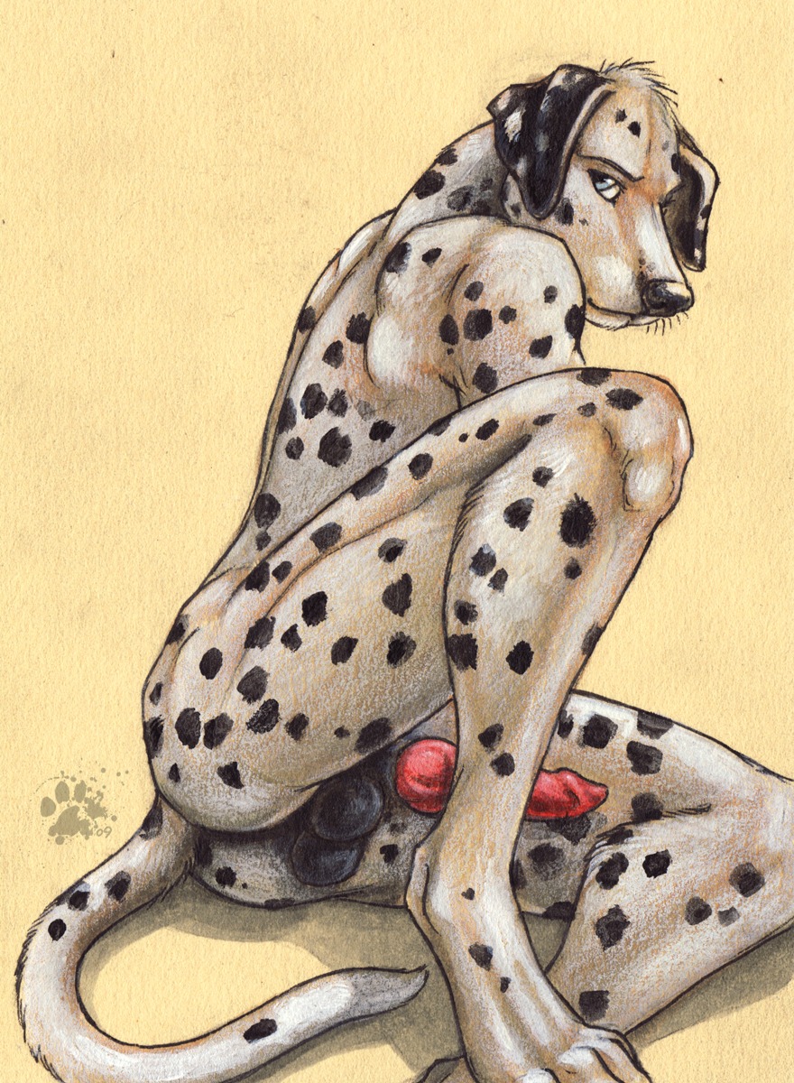 2009 animal_genitalia animal_penis anthro backsack balls biped black_balls black_body black_fur black_nose blotch blue_eyes butt canid canine canine_genitalia canine_penis canis dalmatian domestic_dog e621 erection feet fur genitals hi_res knot looking_at_viewer male mammal nude pawpads paws penis pose presenting presenting_hindquarters red_penis scratches_volume_3 shadow sheath simple_background sitting solo spots tail traditional_media_(artwork) white_background white_body white_fur yellow_background