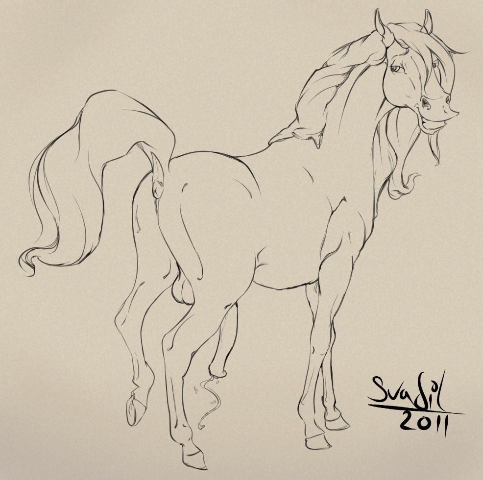 2011 anus backsack balls bodily_fluids e621 equid equine equine_anus erection feral genital_fluids genitals hooves horse male mammal monochrome penis precum puffy_anus raised_tail solo svadil tail traced
