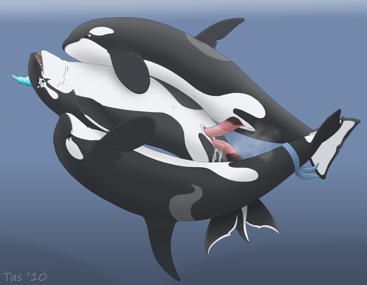 2010 anal anal_penetration animal_genitalia animal_penis anus aquatic bodily_fluids cetacean cetacean_genitalia cetacean_penis countershading cum cum_in_ass cum_inside cumshot dolphin double_penetration e621 ejaculation erection female feral feral_on_feral fully/fully_submerged fully_submerged genital_fluids genitals group group_sex hi_res horn male male/female male_penetrating mammal oceanic_dolphin orca orgasm penetration penis sandwich_position sex sex_in_water tapering_penis tasuric threesome toothed_whale trio underwater underwater_sex vaginal vaginal_penetration vulva water water_clouding