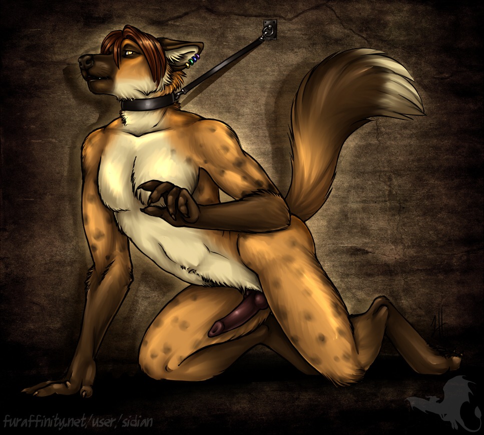 1boy anthro bound canine canine_penis ear_piercing fur furry hyena kneeling knot leash linsey_huish looking_at_viewer male male_only penis piercing rule34 sidian solo tzell
