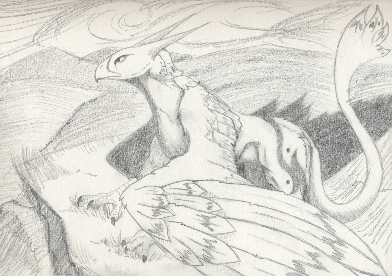 absurd_res animal_genitalia avian barely_visible_genitalia beak chard e621 english_text feathered_wings feathers feral fully_sheathed genitals gryphon hi_res horn infalle_(artist) male monochrome mythological_avian mythological_creature mythology nude shaded sheath sketch solo tail text wings