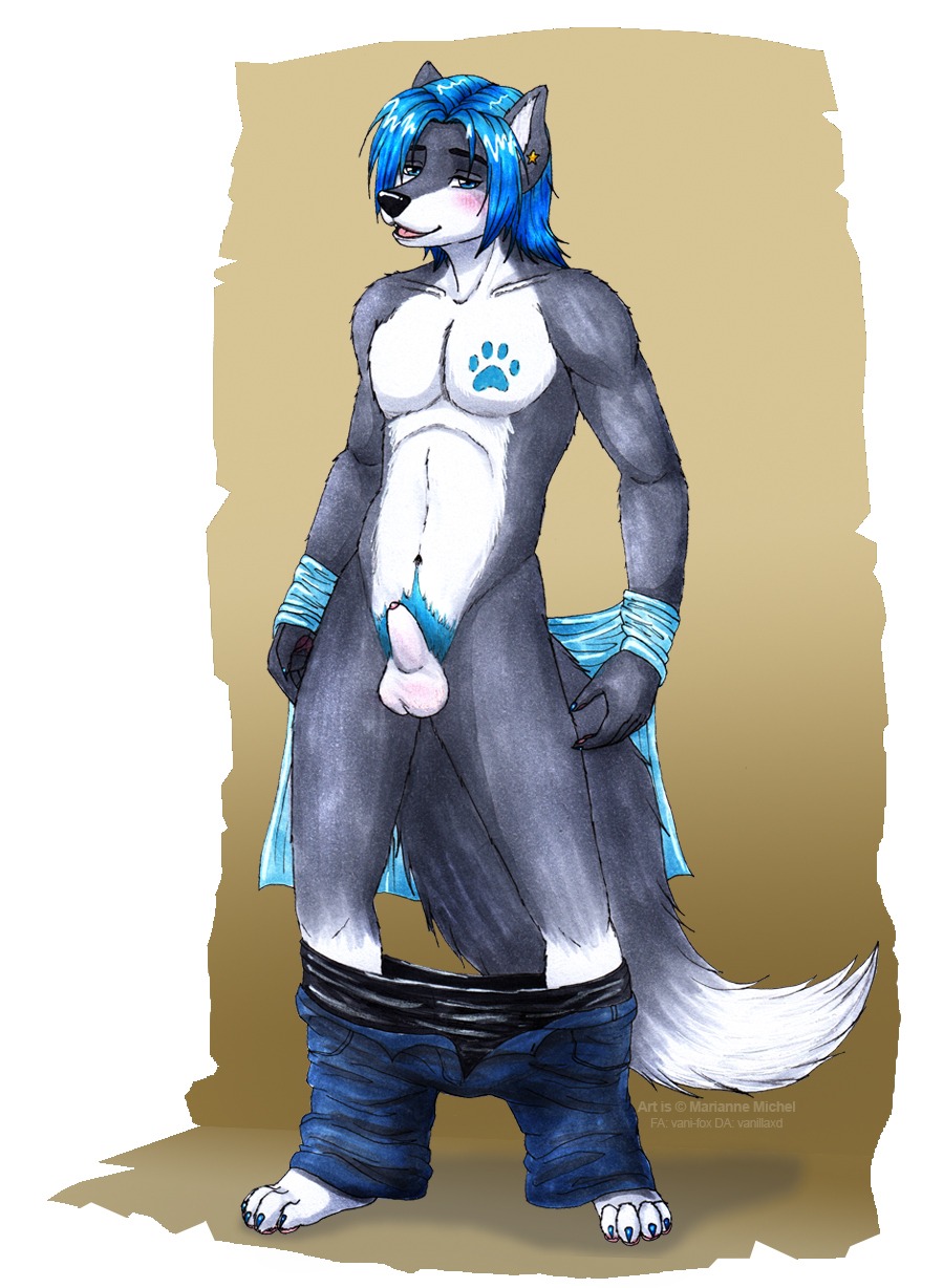 animal_genitalia anthro balls biped blush bottomwear canid canine canis clothing dipstick_tail e621 genitals hi_res looking_at_viewer male mammal markings pants penis penis_tip sheath solo standing tail tail_markings undressing vani-fox wolf