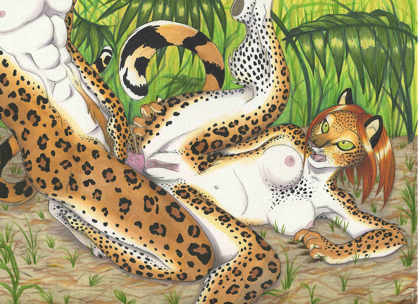 abs anal anal_penetration anthro breasts duo e621 erection felid female female_penetrated from_front_position front_vulva fur genitals grass green_eyes leopard leopard_spots lying malachi male male/female male_penetrating male_penetrating_female mammal markings missionary_position muscular nipples nude on_back pantherine penetration penile_spines penis plant sex spots spotted_body spotted_fur tail tan_body tan_fur vulva whiskers white_body white_fur