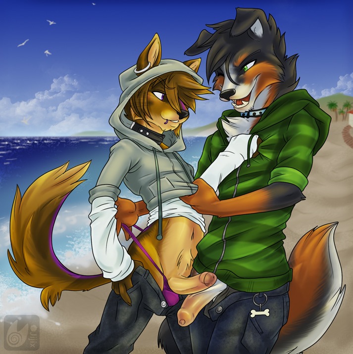 anthro beach border_collie bulge canine chest_tuft collar couple erection foreskin frottage fur furry gay german_shepherd hoodie humanoid_penis jeans jijix male midriff no_humans penis piercing poking_out rule34 seaside shirt tail thong uncircumcised uncut undressing
