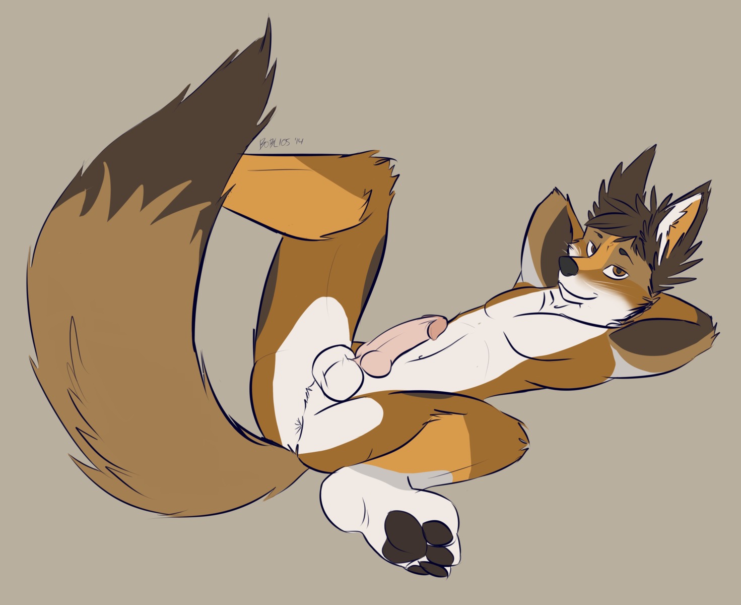 anthro anus balls biped boblios brown_eyes canid canine circumcised e621 erection feet fox genitals hi_res hindpaw looking_at_viewer lying male mammal on_back pawpads paws penis pose simple_background solo