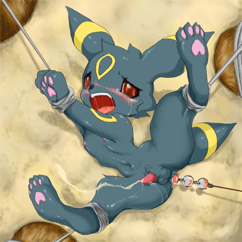 anal_insertion balls blush bound color cum eeveelution erection fur insertion male male_only nintendo nude penis pokemon pokemon_(species) rule34 solo tagme tear testicles umbreon