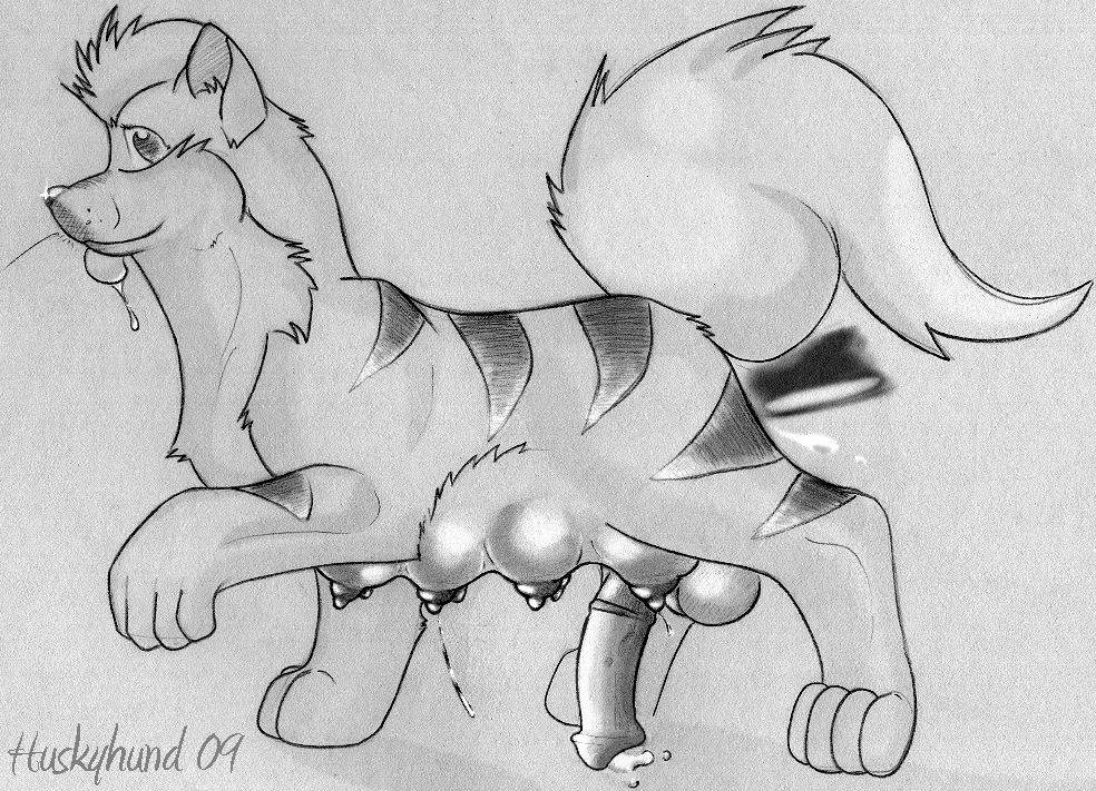 1futa feral fur futa_only futanari growlithe intersex intersex_only monochrome nintendo pokemon pokemon_(species) rule34 solo