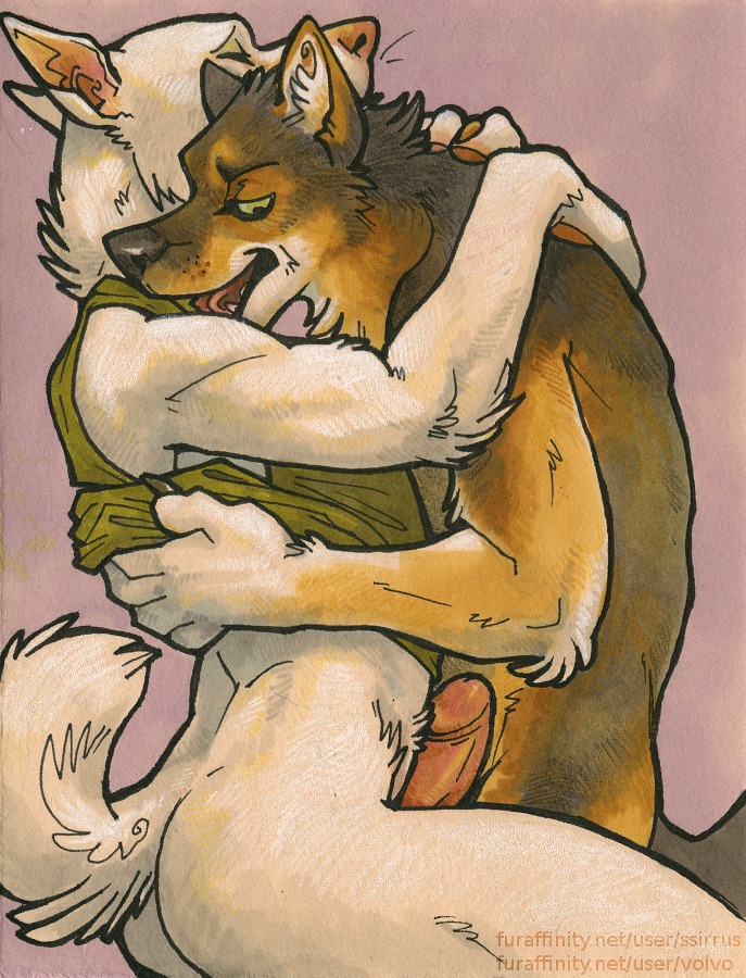 airu anthro anthro_on_anthro artist_collaboration canid canine canis clothed clothing clothing_lift domestic_dog duo e621 erection genitals german_shepherd herding_dog hug humanoid_genitalia humanoid_penis male male/male mammal pastoral_dog penis sex shirt shirt_lift ssirrus tail topwear