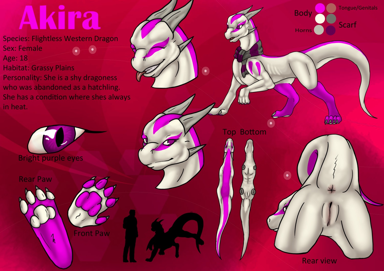 absurd_res akira_(byzil) anus butt dragon e621 feet female feral genitals hi_res hindpaw horn in_heat model_sheet mythological_creature mythological_scalie mythology paws pink_theme presenting presenting_hindquarters purple_eyes reptile scalie scarf side_view skinny solo stripes tail text vulva wyldfire7