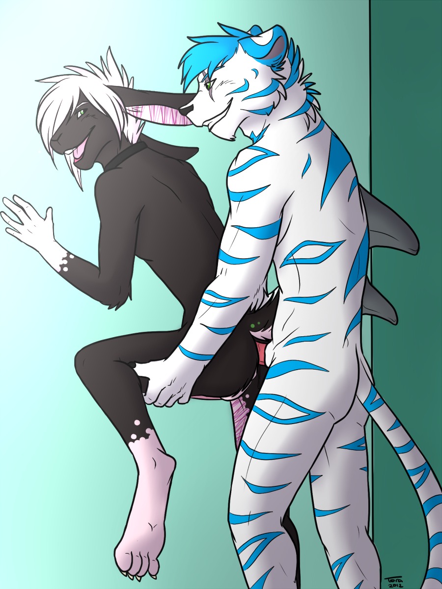 3:4 4_toes against_surface against_wall anal anal_penetration anthro anthro_on_anthro aquatic blue_hair claws digitigrade dominant dominant_male duo e621 erection feet felid fish from_behind_position fur genitals hair hi_res hindpaw hybrid lagomorph leporid lupine_foxwolf lupinefoxwolf male male/male male_penetrated male_penetrating male_penetrating_male mammal nude open_mouth pantherine paws penetration penis rabbit raised_leg sex shark soles storm_(tiger/shark)_(storm-tiger) stripes tail tiger toes white_body white_fur white_hair