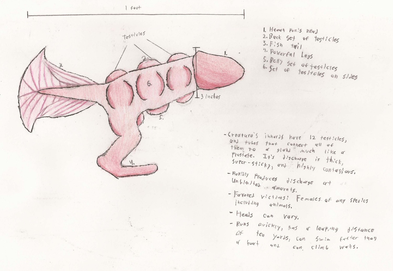 balls colored_pencil_(artwork) e621 english_text genital_focus genital_shot genitals gliz_caldo hi_res male mixed_media multi_balls multi_genitalia pen_(artwork) penis penis_creature penis_focus penis_shot solo text traditional_media_(artwork) unknown_species what_has_science_done