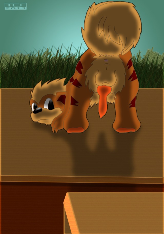 back_view color day feral fur growlithe looking_back male male_only nude outdoors penis pokemon pokemon_(species) rule34 solo tagme