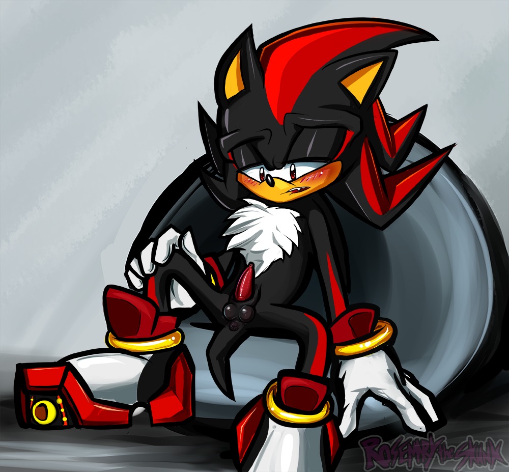 animal_genitalia anthro anus balls black_body black_fur blush e621 erection eulipotyphlan fur genitals hedgehog male mammal penis red_eyes rosemary-the-skunk sega shadow_the_hedgehog solo sonic_the_hedgehog_(series)