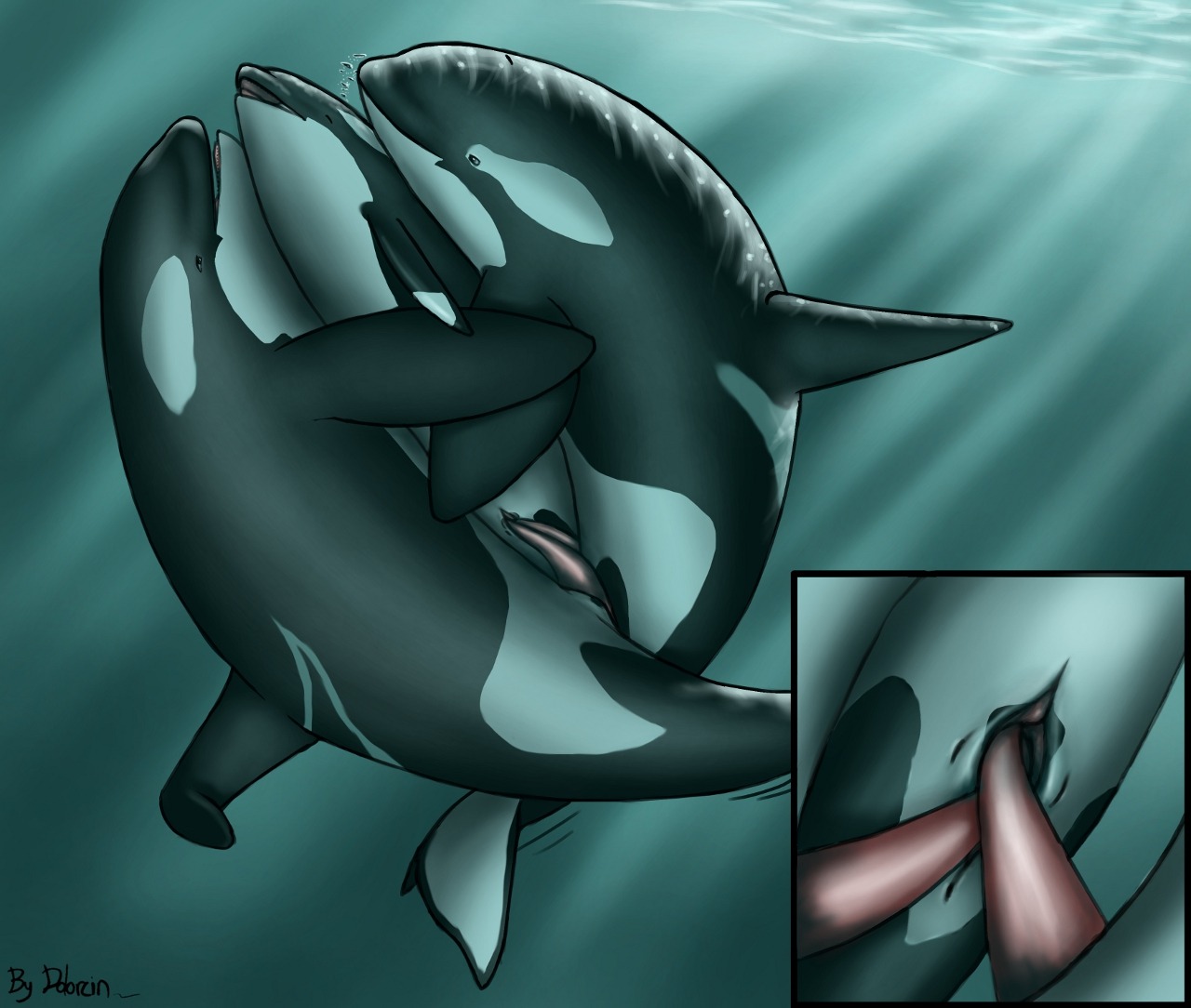anatomically_correct animal_genitalia animal_penis animal_vulva aquatic cetacean cetacean_genitalia cetacean_penis cetacean_vulva close-up dolorcin dolphin double_penetration double_vaginal e621 erection female feral feral_on_feral genital_slit genitals group group_sex male male/female male_penetrating mammal nude oceanic_dolphin orca penetration penis sex shallow_penetration tapering_penis threesome toothed_whale trio vaginal vaginal_penetration vulva