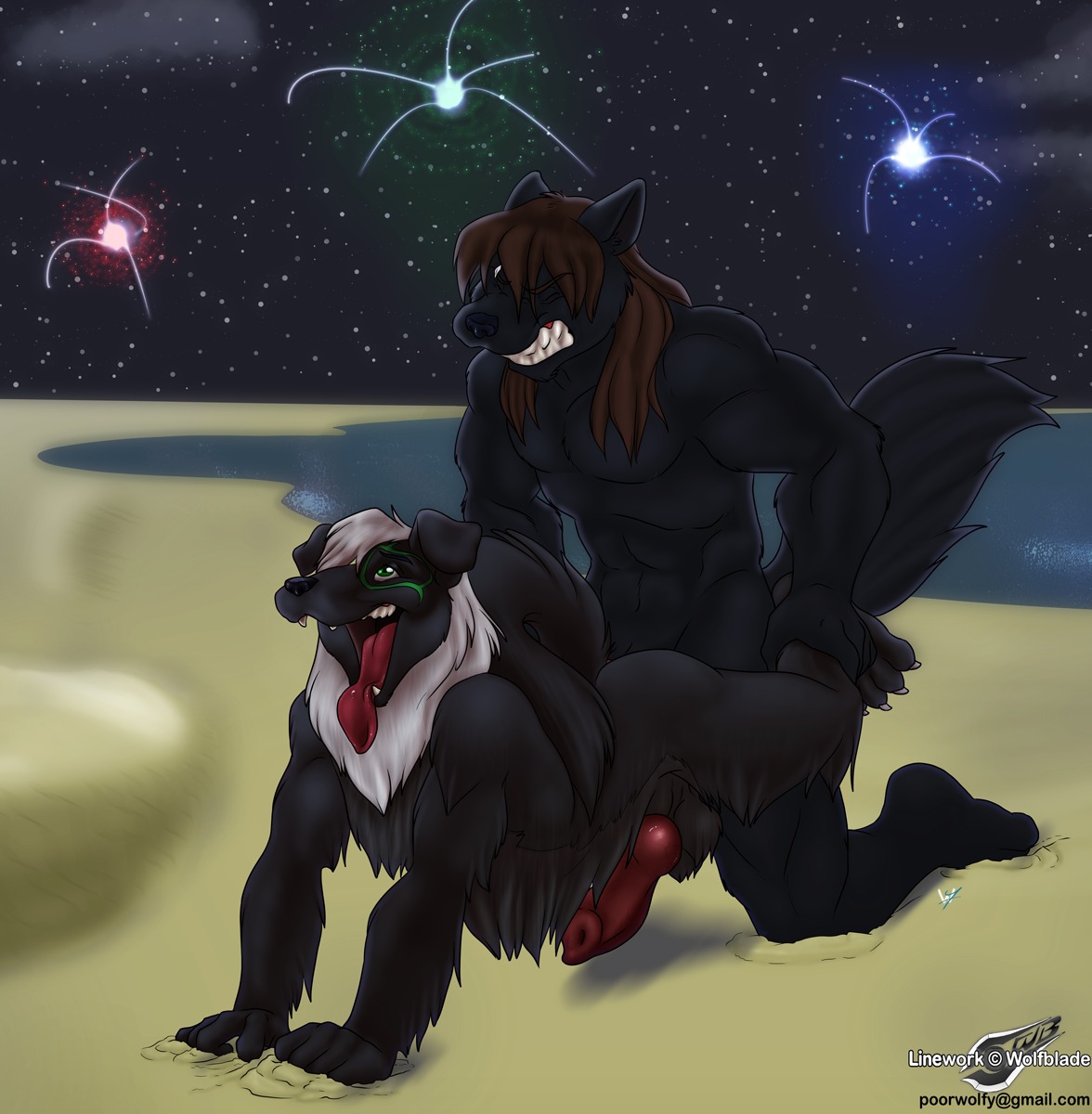 2012 abs all_fours anal anal_penetration animal_genitalia animal_penis anthro artist_collaboration balls beach biceps big_muscles big_penis black_body black_fur brown_hair canid canine canine_genitalia canine_penis canis clenched_teeth collie detailed_background doggystyle domestic_dog duo e621 erection eyes_closed fireworks from_behind_position fucked_silly fur genitals green_eyes hair herding_dog hi_res knot long_hair male male/male male_penetrated male_penetrating male_penetrating_male mammal muscular muscular_male night nude nude_beach open_mouth outside pastoral_dog pecs penetration penis rough_collie sand sea seaside sex sex_on_the_beach shadow_kiana sheath sheepdog sky star starry_sky tail tattoo teeth text thick_thighs tongue url vein water wheelbarrow_position wolf wolfblade wuffamute yamato_iouko yamatoiouko