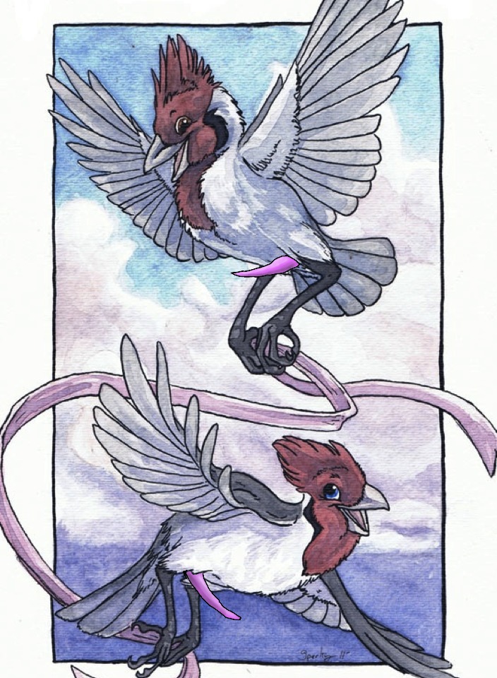 animal_genitalia animal_penis avian cardinal erection feral feral_only flying gay lanakila male manukoa penis rule34 tapering_penis unknown_artist