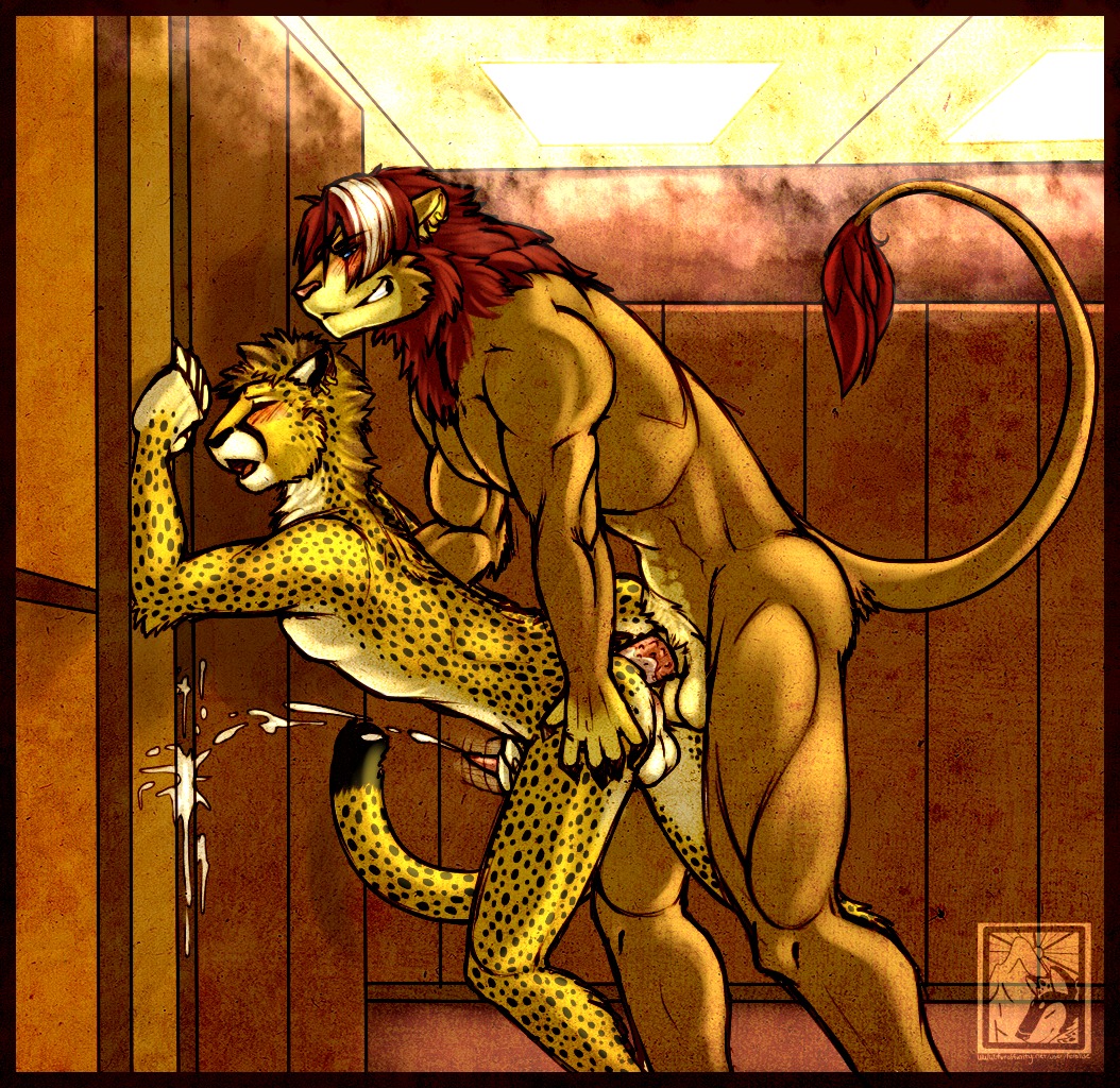 against_surface against_wall anal anal_penetration anthro athletic balls bodily_fluids cheetah cum cumshot duo e621 ejaculation erection eyes_closed felid feline feralise from_behind_position genital_fluids genitals hair interspecies kesai kiwa lion male male/male male_penetrated male_penetrating male_penetrating_male mammal markings masturbation muscular nude orgasm pantherine penetration penile penile_masturbation penile_spines penis red_hair sex spots steam tail