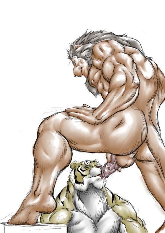 2008 anthro backsack balls biceps big_muscles bodily_fluids bomb_(artist) brown_body brown_fur butt cum duo e621 erection feet felid fur genital_fluids genitals hand_on_leg humanoid_feet humanoid_genitalia humanoid_penis licking lion looking_down male male/male male_penetrated male_penetrating male_penetrating_male mammal mane multicolored_body multicolored_fur muscular nipples nude oral pantherine pecs penetration penile penis penis_lick pink_nose plantigrade precum saliva sex simple_background soles striped_body striped_fur stripes tail tiger tongue tongue_out white_background white_body white_fur yellow_body yellow_fur