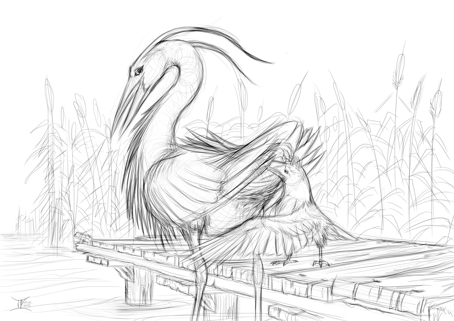 2013 allopreening ambiguous_gender animal_genitalia avian avian_butt beak bird black_and_white claws cloaca corvid corvus_(genus) crow duo e621 feather_preening feathered_wings feathers feral genitals henri_(bombird) heron horizontal_cloaca monochrome oscine outside passerine pelecaniform personal_grooming pier seaside social_grooming wairu water wings