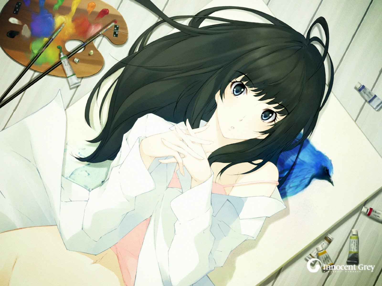 breasts dress_shirt female innocent_grey kara_no_shoujo kuchiki_toko nopan rule34 sugina_miki wallpaper
