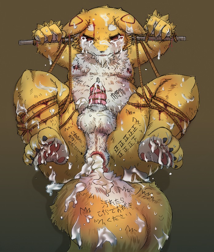 after_sex anal anthro balls bdsm blood bodily_fluids body_writing bondage bound canid canine chest_tuft cjk_tally_marks claws countershading crying cum cum_in_ass cum_inside cum_on_tail e621 erection feet forced fox fur genital_fluids genitals hindpaw japanese_text male mammal messy nude paws penetration penis rape risuou rope sex simple_background solo submissive submissive_male tail tally_marks tears text toes tuft urethral urethral_penetration white_body white_fur writing_on_thigh yellow_body yellow_fur yellow_tail