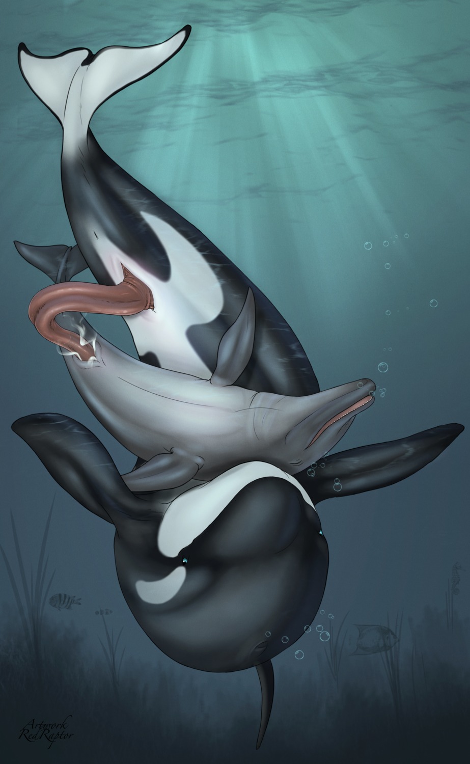 absurd_res ambient_fish ambient_sealife animal_genitalia animal_penis animal_vulva anus aquatic blue_eyes bodily_fluids bubble cetacean cetacean_genitalia cetacean_penis cetacean_vulva cum cum_in_vagina cum_inside dolphin dominant dorsal_fin duo_focus e621 english_text erection eyes_closed female female_penetrated feral feral_on_feral feral_penetrated feral_penetrating feral_penetrating_feral fin fish flippers fully/fully_submerged fully_submerged genital_fluids genitals group hi_res interspecies larger_dom larger_male light looking_pleasured male male/female male_penetrating male_penetrating_female mammal nude oceanic_dolphin orca penetration penile penile_penetration penis penis_in_vagina plump_labia prehensile_penis redraptor16 seahorse sex sex_in_water size_difference smaller_female smaller_penetrated sunlight syngnathid syngnathiform tail tail_fin tapering_penis text toothed_whale underwater underwater_sex upside_down vaginal vaginal_penetration vulva water