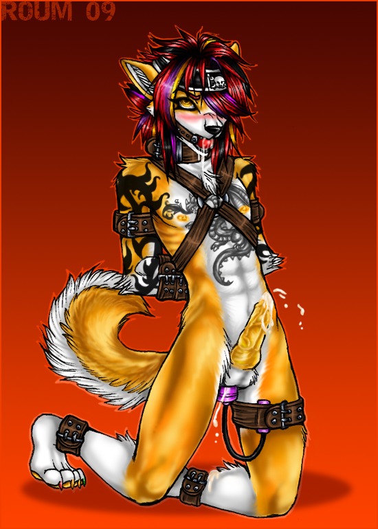 1boy 2009 ball_gag blush bondage canine cum husky kneeling knot male male_only penis recca roum rule34 sex_toy solo tattoo vibrator