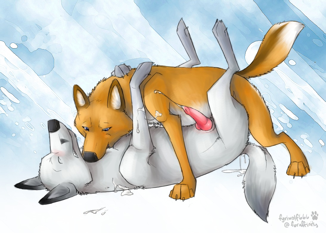 2012 anal anal_penetration anatomically_correct animal_genitalia animal_penis bite blush bodily_fluids brown_body brown_fur canid canine canine_genitalia canine_penis canis claws cum cum_in_ass cum_inside cum_while_penetrated cumshot digitigrade duo e621 ejaculation erection eyes_closed feral feral_on_feral fox fur fyriwolf666 genital_fluids genitals grey_body grey_fur hands-free knot legs_up lying male male/male male_penetrated male_penetrating male_penetrating_male mammal nude on_back orgasm penetration penis quadruped sex tail white_body white_fur wolf