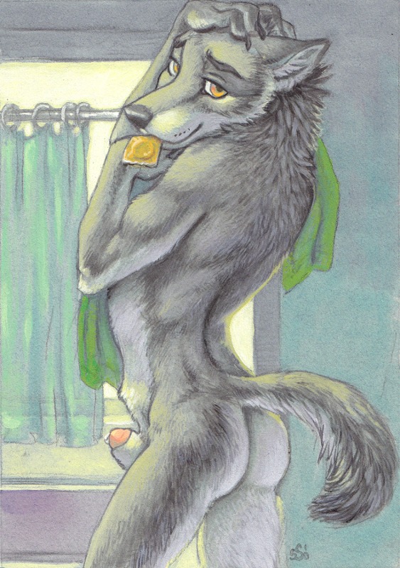 2010 animal_genitalia anthro bathroom bathtub bedroom_eyes butt canid canine canis condom condom_in_mouth e621 fur genitals grey_body grey_fur inside inviting looking_at_viewer looking_back male mammal mouth_hold narrowed_eyes nude object_in_mouth penis penis_tip seductive sexual_barrier_device sheath shower_curtain solo ssirrus tail towel towel_on_shoulder unused_condom wolf wrapped_condom yellow_eyes
