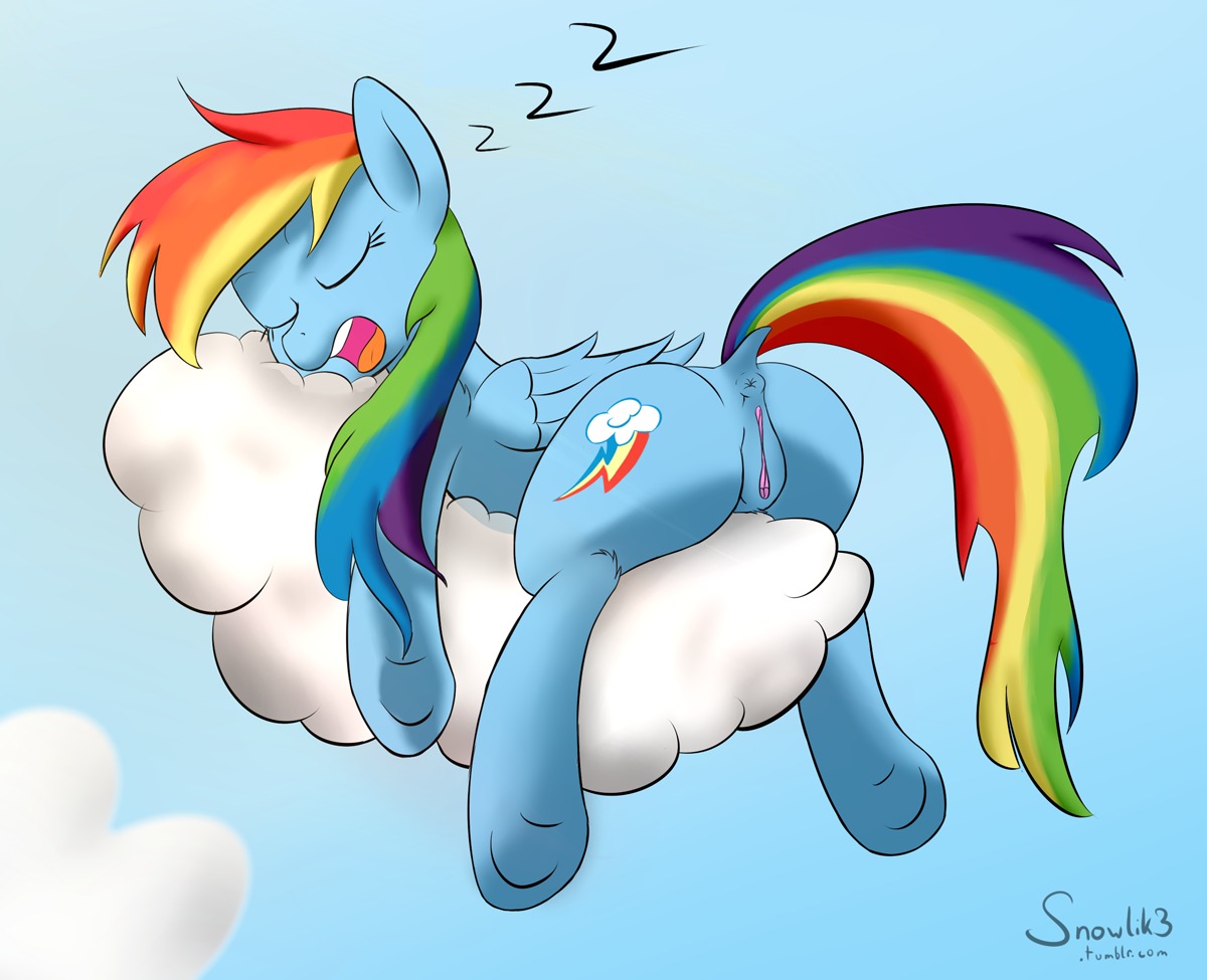 2014 anus blue_body blue_feathers blue_fur butt cloud cutie_mark e621 equid equine eyes_closed feathered_wings feathers female feral friendship_is_magic fur genitals hair hasbro lying mammal multicolored_hair multicolored_tail my_little_pony mythological_creature mythological_equine mythology on_front open_mouth outside pegasus rainbow_dash_(mlp) rainbow_hair rainbow_tail sky skyscape sleeping snowlik3 solo tail vulva wings
