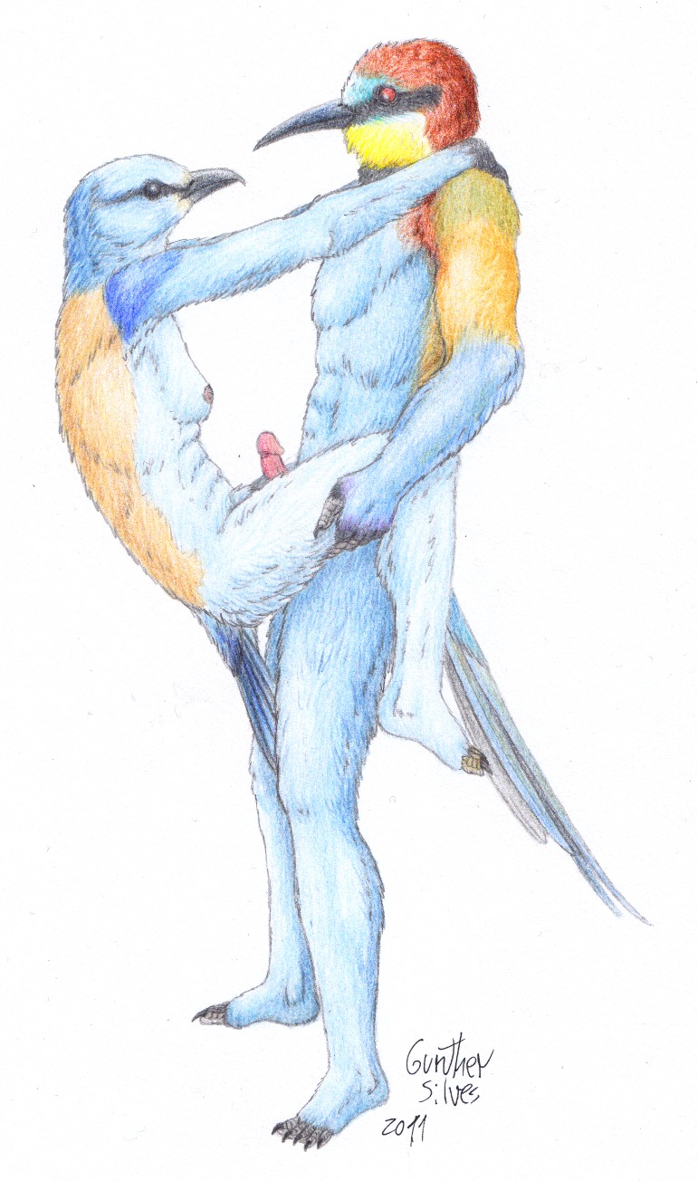 2011 anthro avian beak bird breasts couple erection female gunther_silves humanoid_penis male nipples nude penis plain_background rule34 sideboob standing straight white_background