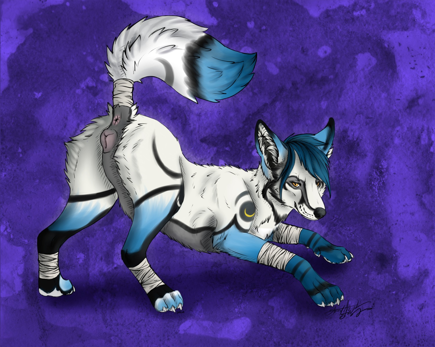 2014 4_toes anatomically_correct anatomically_correct_genitalia anatomically_correct_vulva animal_genitalia animal_vulva bandage blue_hair butt canid canine canine_genitalia canine_vulva claws e621 feet female feral fox fur genitals hair hi_res hindpaw krimzen_redwing looking_at_viewer mammal moonfoot pawpads paws pinup pose quadruped raised_tail seductive simple_background solo spread_legs spreading standing tail toes vulva white_body white_fur