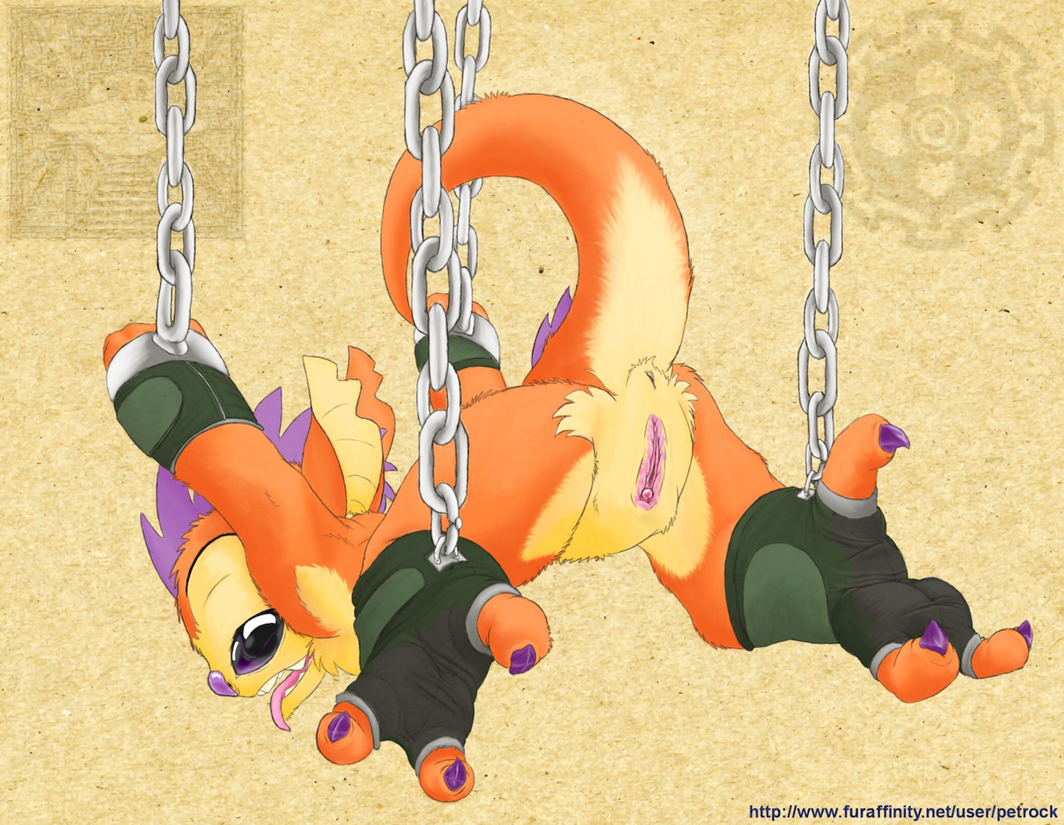 2010 alien anus bdsm bondage bound chain clitoris clothing digital_media_(artwork) disney e621 experiment_(lilo_and_stitch) female footwear fur genitals hair legwear lilo_and_stitch looking_back nude orange_body orange_fur petrock purple_hair raised_tail socks solo spread_legs spreading stirrup_socks submissive submissive_female suspension tail tongue tongue_out vinegrette vulva