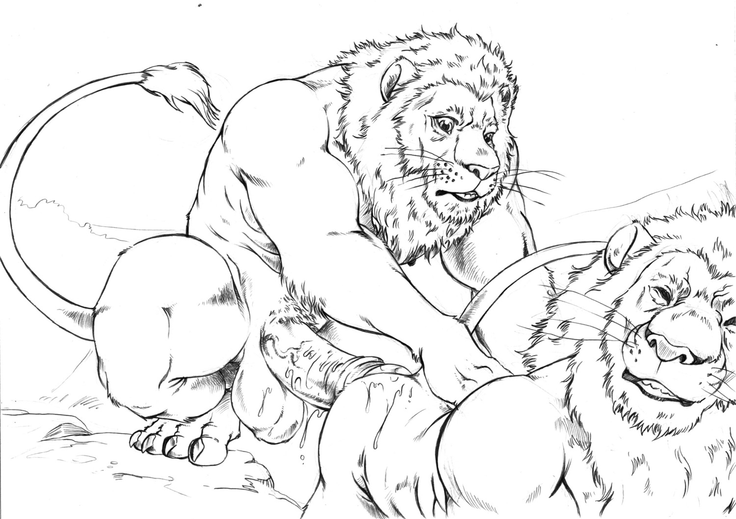 4_toes abs all_fours anal anthro balls big_penis bodily_fluids butt claws clenched_teeth crouching cum cum_drip cum_on_balls cum_on_butt cum_on_penis doggystyle dripping duo e621 erection eyes_closed feet felid from_behind_position furryrevolution genital_fluids genitals hi_res humanoid_genitalia humanoid_penis lion looking_down male male/male male_penetrated male_penetrating male_penetrating_male mammal monochrome muscular nude open_mouth pantherine penetration penis pubes sex sharp_teeth sketch teeth thick_penis toes vein veiny_penis whiskers