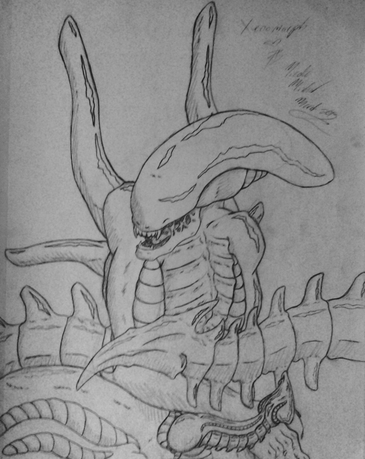 2013 alien alien_(franchise) auserei black_and_white bodily_fluids e621 erection genital_fluids genitals graphite_(artwork) hi_res knot line_art male monochrome penis precum sketch snarling solo teeth traditional_media_(artwork) xenomorph