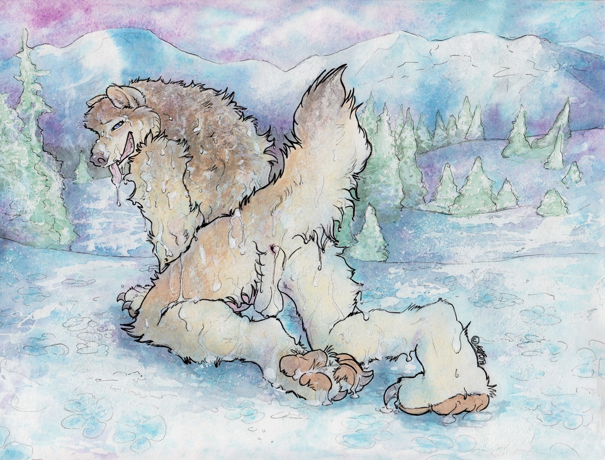 1boy 2010 after_sex all_fours anthro anus balls canine canine_penis color cum day fur furry kaputotter knot looking_at_viewer male male_only messy nude outdoors penis presenting raised_tail rule34 snow solo tail wolf