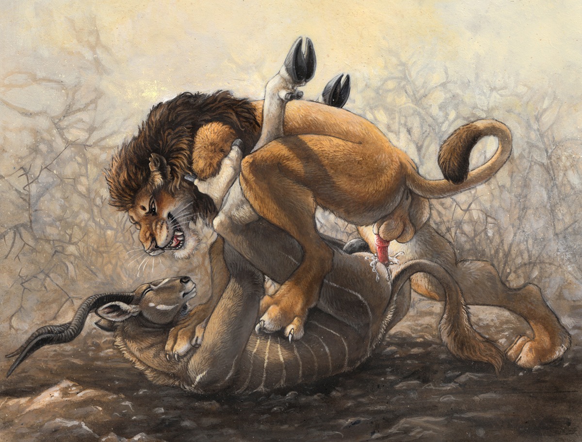 2008 anal anal_penetration animal_genitalia animal_penis antelope anthro anthro_on_anthro anthro_penetrated anthro_penetrating anthro_penetrating_anthro anus anvil_position backsack balls biped blotch bodily_fluids bovid bovine claws cloven_hooves cum cum_in_ass cum_inside duo e621 erection eye_contact fangs felid feline_genitalia feline_penis from_front_position fur genital_fluids genitals hooves horn interspecies kudu legs_up lion looking_at_another lying male male/male male_penetrated male_penetrating male_penetrating_male mammal mane nude on_back pantherine paws penetration penile penile_penetration penis penis_in_ass perineum predator/prey scratches_volume_5 sex spiral-horned_antelope tail tail_tuft teeth traditional_media_(artwork) tuft underhoof whiskers