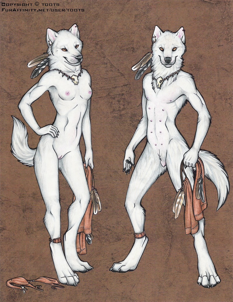 anatomically_correct anatomically_correct_genitalia anatomically_correct_vulva animal_genitalia animal_vulva anthro athletic athletic_anthro athletic_female biped bottomwear breasts canid canine canine_genitalia canine_vulva canis clothing comparison e621 female genitals keershang loincloth mammal model_sheet multi_nipple nipples nude solo standing tail toots tribal vulva wolf