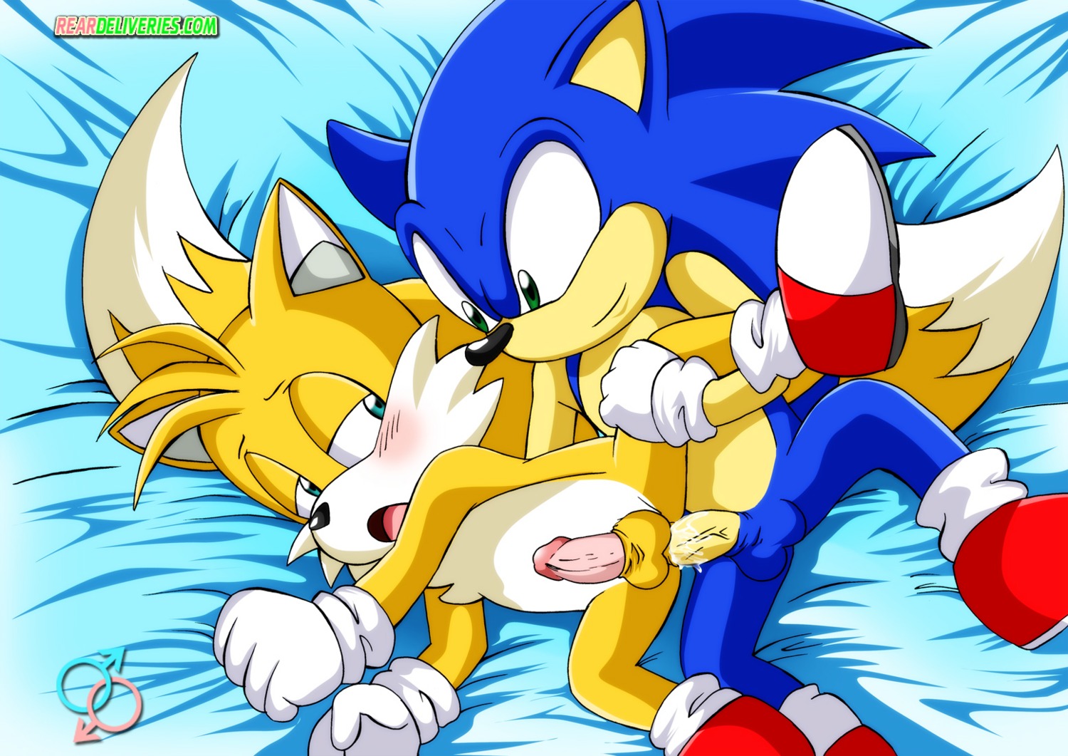 anal anthro ass bed blush canine cum cum_in_ass cum_inside erection eye_contact fox fur hedgehog looking_at_another male male_only mobian multiple_males penis rule34 sega sex sonic_(series) sonic_the_hedgehog sonic_the_hedgehog_(series) tails tails_the_fox yaoi