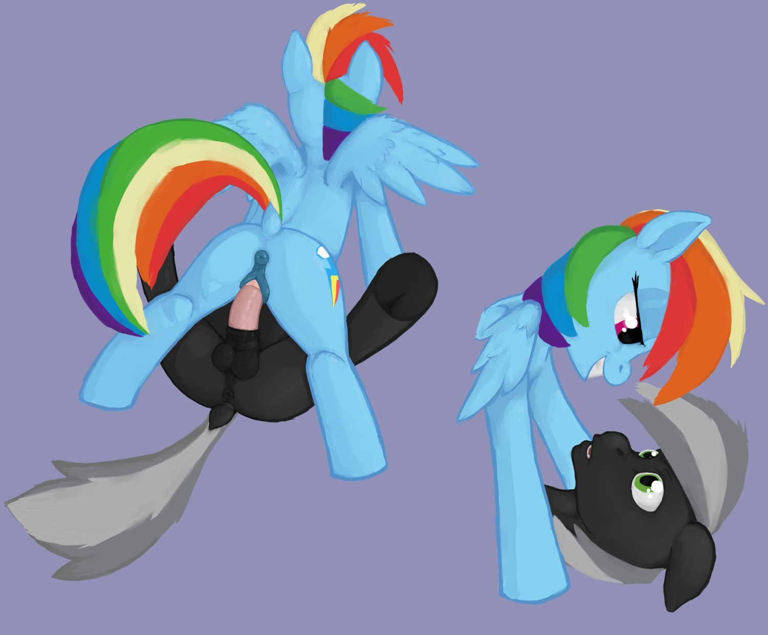 absurd_res anatomically_correct anatomically_correct_genitalia anatomically_correct_vulva animal_genitalia animal_penis animal_vulva anus balls black_body black_fur blue_body blue_feathers blue_fur butt cutie_mark doe-shmo duo e621 equid equine equine_genitalia equine_penis equine_vulva erection fan_character feathered_wings feathers female female_penetrated feral friendship_is_magic from_front_position fur genitals green_eyes grey_hair hair hasbro hi_res hooves jac legs_up lying male male/female male_penetrating male_penetrating_female mammal multicolored_hair multicolored_tail my_little_pony mythological_creature mythological_equine mythology nude on_back on_top pegasus penetration penile penile_penetration penis penis_in_vagina perineum puffy_anus purple_eyes rainbow_dash_(mlp) rainbow_hair rainbow_tail raised_tail reverse_missionary_position sex sheath simple_background smile spread_legs spreading straddling tail teeth vaginal vaginal_penetration vulva wings