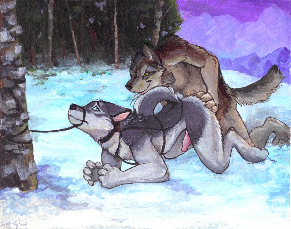 all_fours anal anal_penetration angry animal_genitalia animal_penis anthro bdsm blue_eyes bondage bound brown_body brown_fur butt butt_grab canid canine canine_genitalia canine_penis canis cloud collar detailed_background digitigrade doggystyle domestic_dog dominant dominant_male duo e621 erection forced forest from_behind_position fur genitals grey_body grey_fur half-erect hand_on_butt husky male male/male male_penetrated male_penetrating male_penetrating_male mammal mountain muzzle_(object) muzzled nordic_sled_dog nude on_ground outside penetration penis plant rape sex sky snow soraslipheed spitz submissive submissive_male tail traditional_media_(artwork) tree tree_bondage wolf wood yellow_eyes