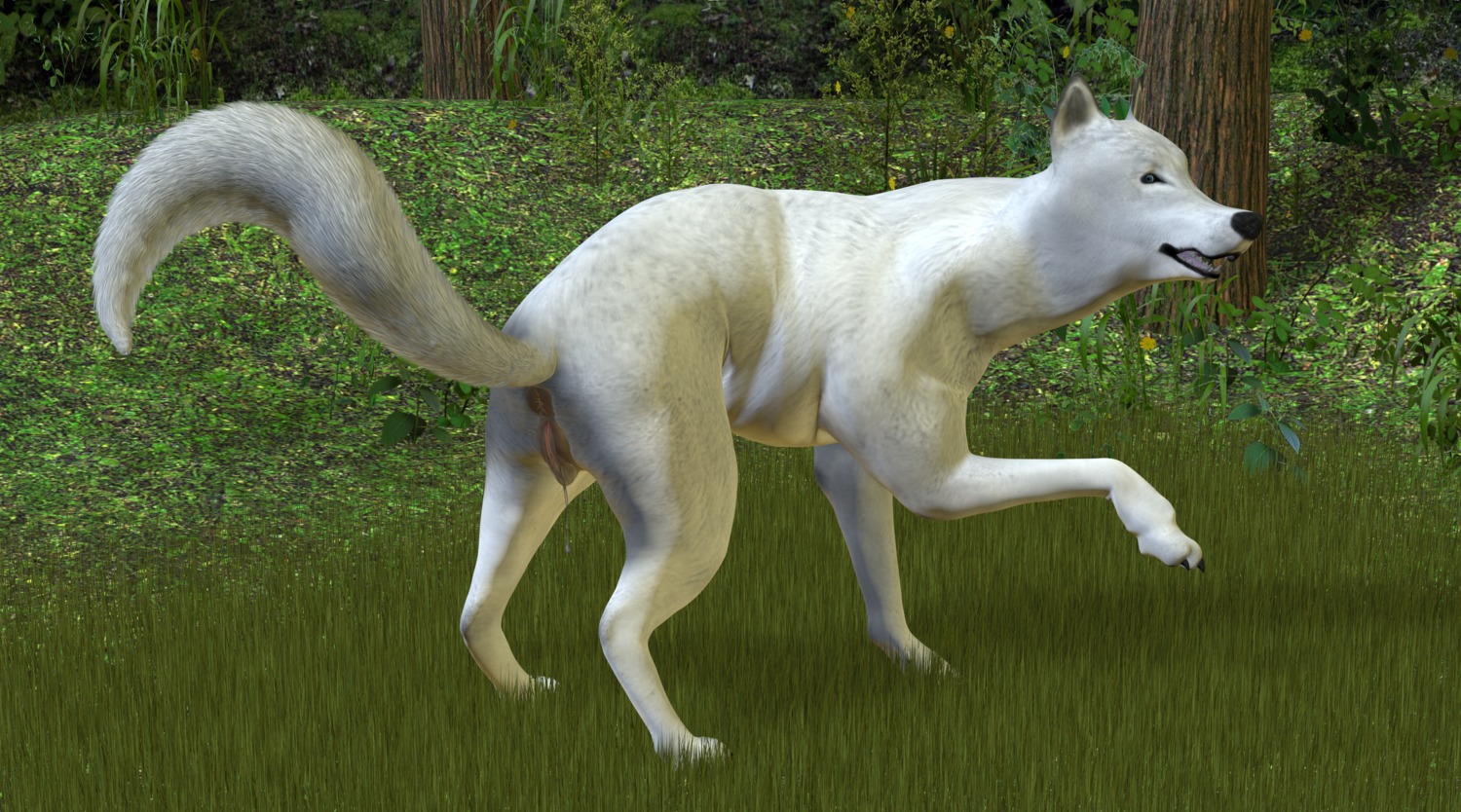 3d_(artwork) absurd_res annonymouse anus arctic_wolf blue_eyes bodily_fluids butt canid canine canis digital_media_(artwork) dripping e621 english_text female feral fur genital_fluids genitals hi_res in_heat looking_at_viewer mammal presenting presenting_hindquarters solo tail text vaginal_fluid_drip vaginal_fluids vulva white_body white_fur wolf