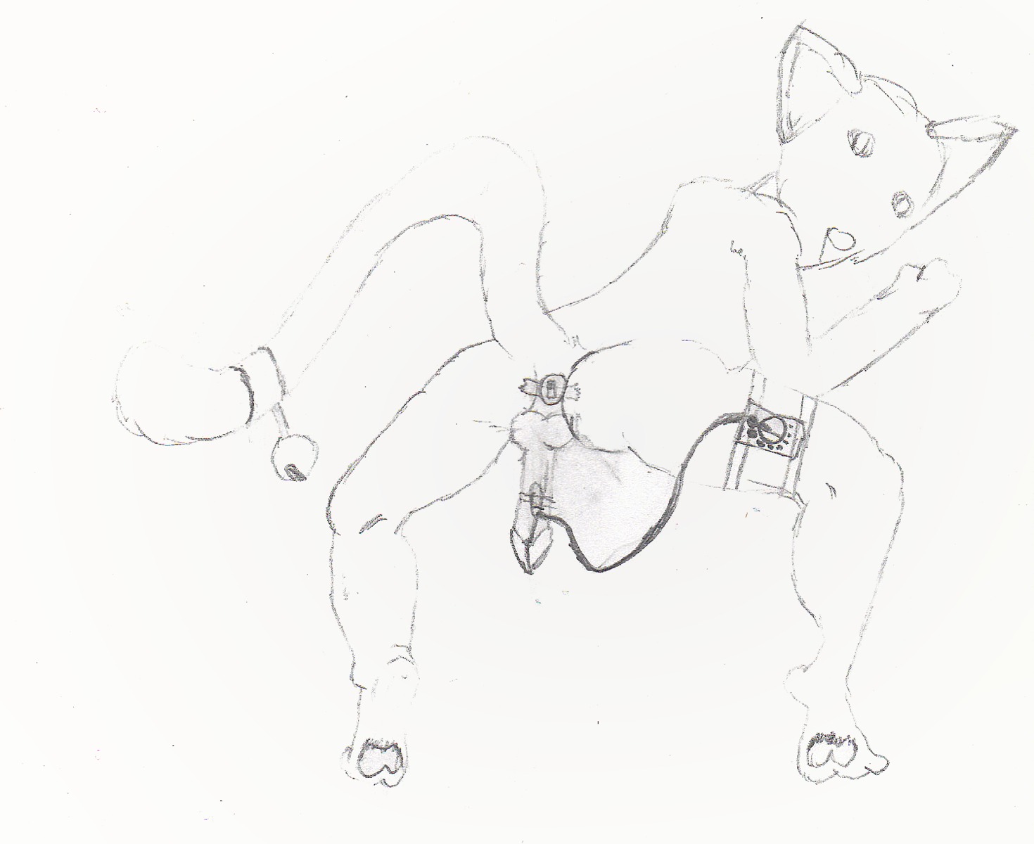 anal anal_masturbation anal_penetration domestic_cat e621 felid feline felis furryandy genitals graphite_(artwork) greyscale hi_res male mammal masturbation monochrome penetration penile penile_masturbation penis sex_toy sketch solo tail toying_self traditional_media_(artwork) vibrator vibrator_on_penis